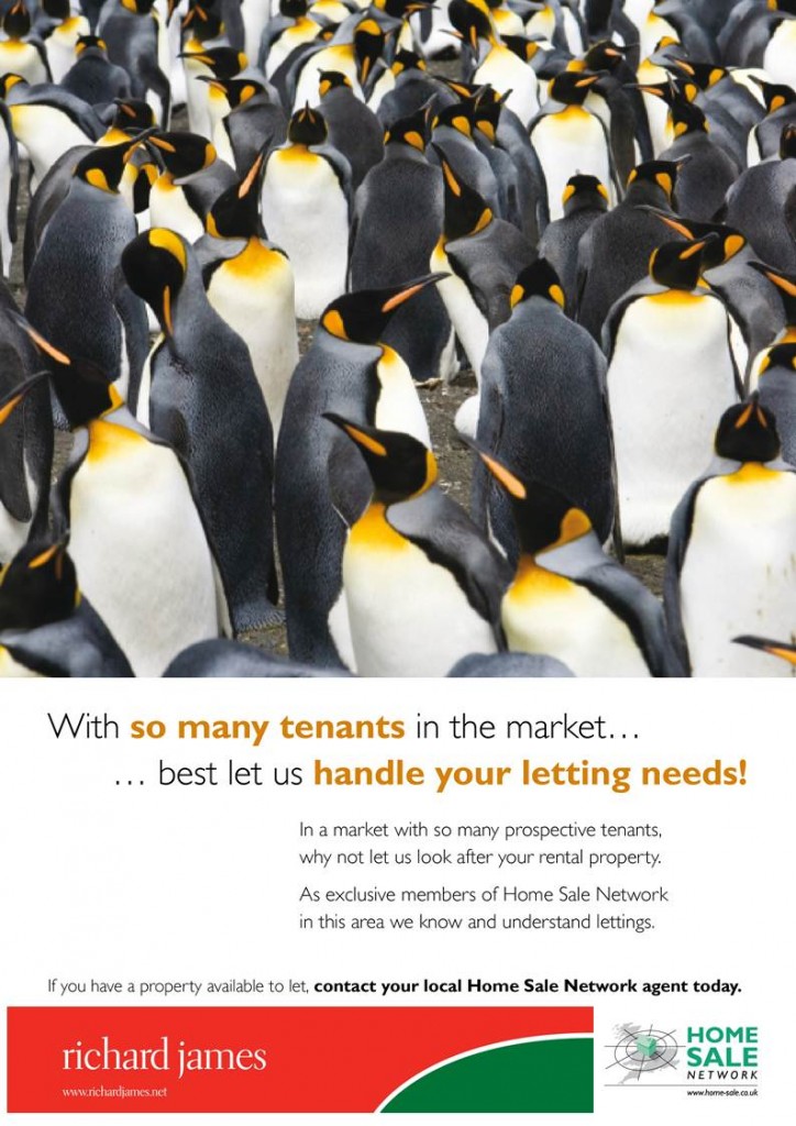 HSN Letting_PENGUIN A4 P DB_HR