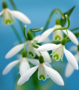 Don't wait till Spring