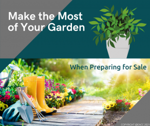 Make the Most of Your Garden 2