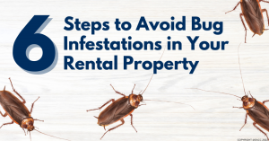 150822 Six Steps to Avoid Bug Infestations in Your Rental Property