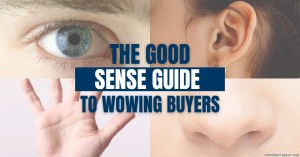 091122 The Good Sense Guide to Wowing Buyers