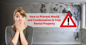 150523 How to Prevent Mould and Condensation in Your Rental Property