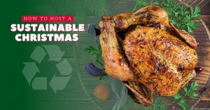 221223 How to Host a Sustainable Christmas