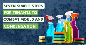 290124 Seven Simple Steps for Tenants to Combat Mould and Condensation